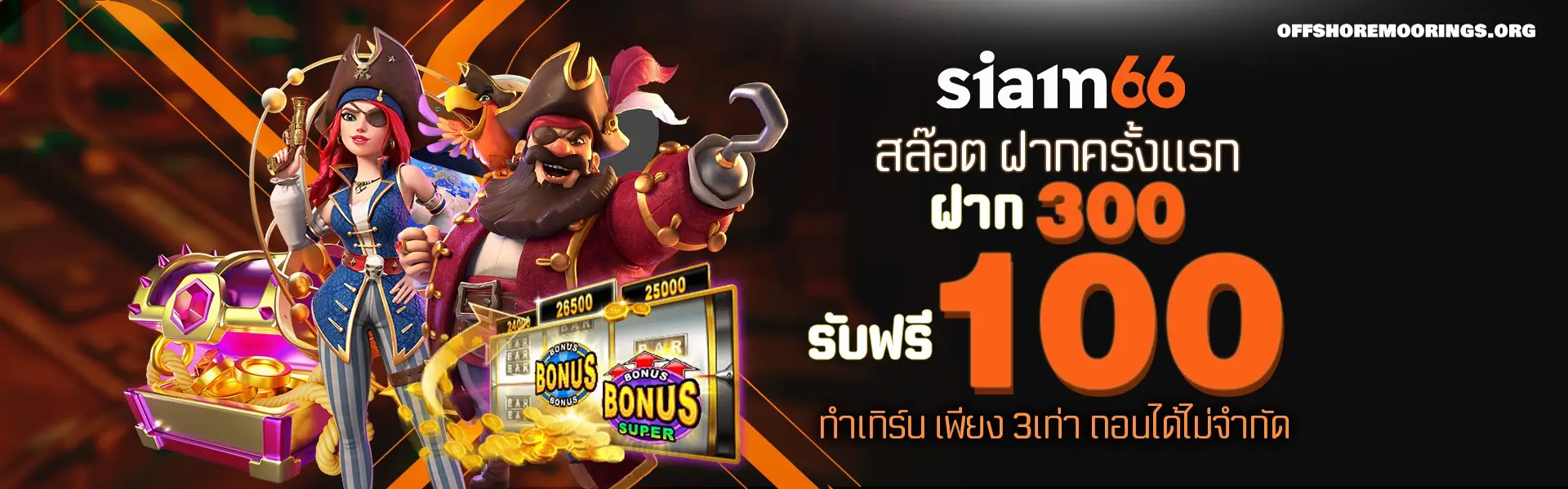 SIAM66